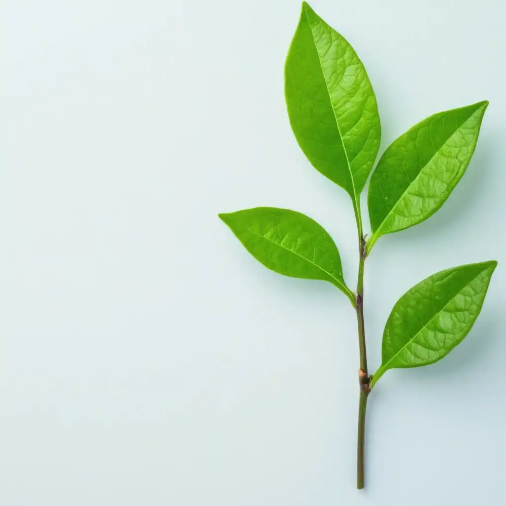 iso14001-kosten-für-beratung
